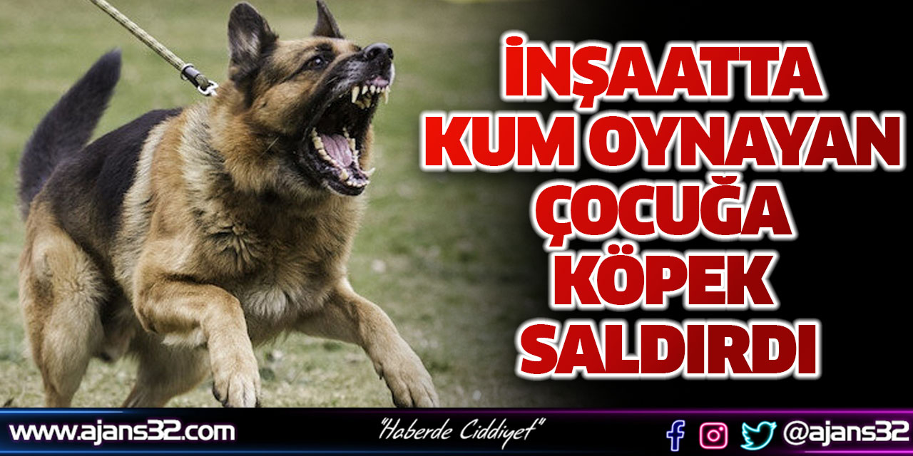 İnşaatta Kum Oynayan Çocuğa Köpek Saldırdı