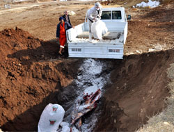 Vatandaşın Sağlığını Düşünmek Zorundayız