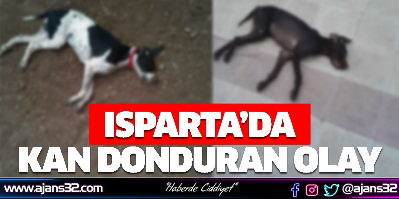 Isparta’da Kan Dondurucu Olay