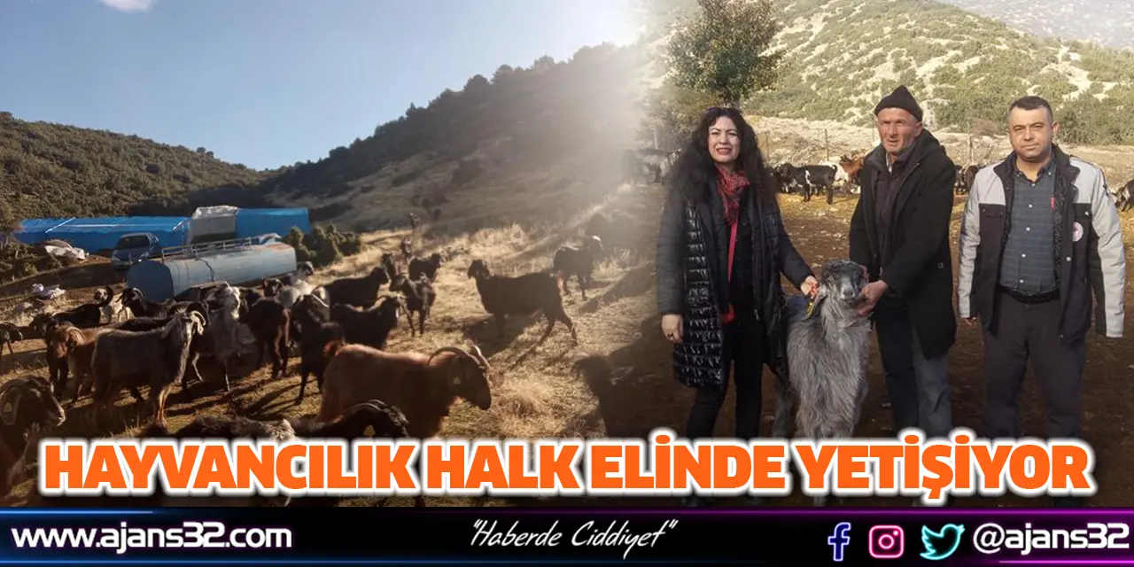 Hayvancılık Halk Elinde Yetişiyor