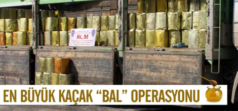 En Büyük Kaçak Bal Operasyonu