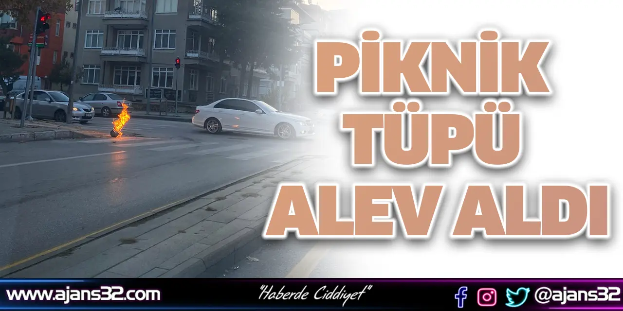 Piknik Tüpü Alev Aldı