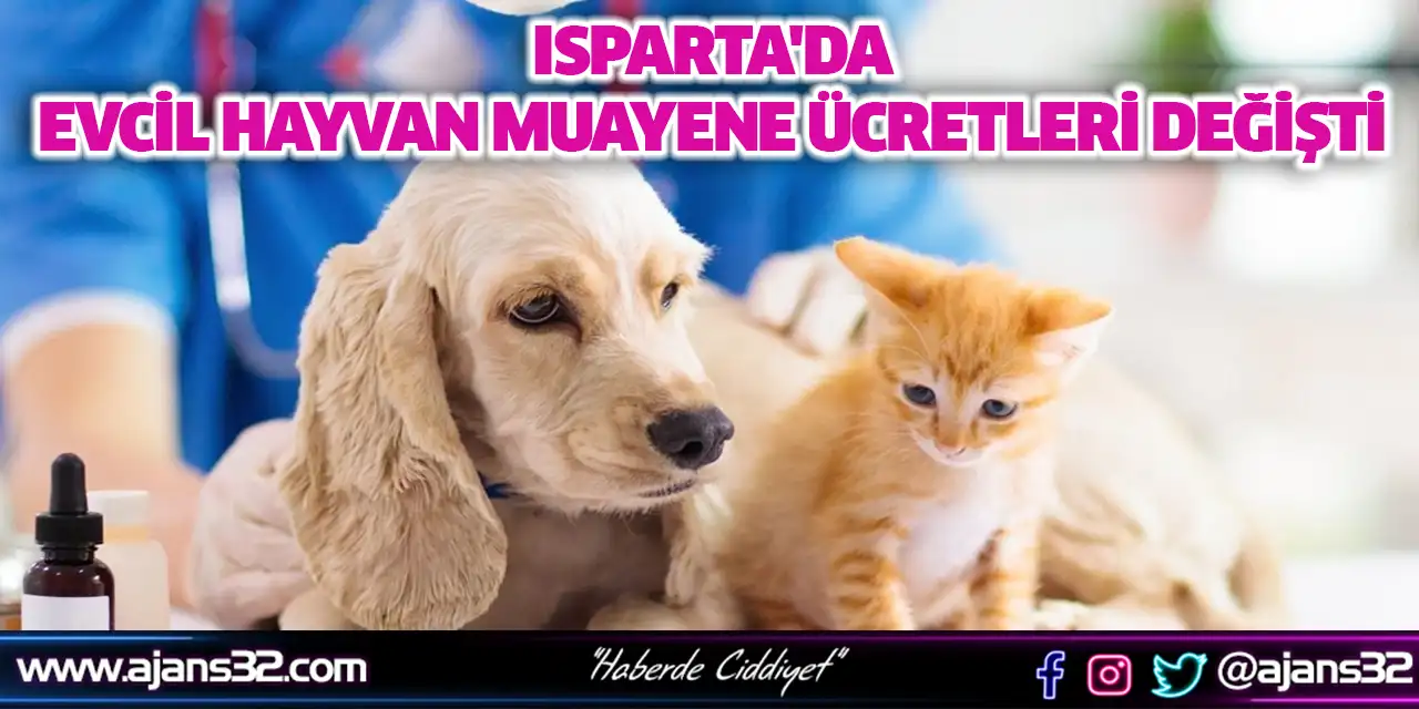 Isparta'da Evcil Hayvan Muayene Ücretleri Değişti