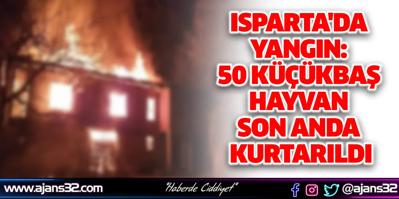 Isparta'da Yangın: 50 küçükbaş Hayvan Son Anda Kurtarıldı