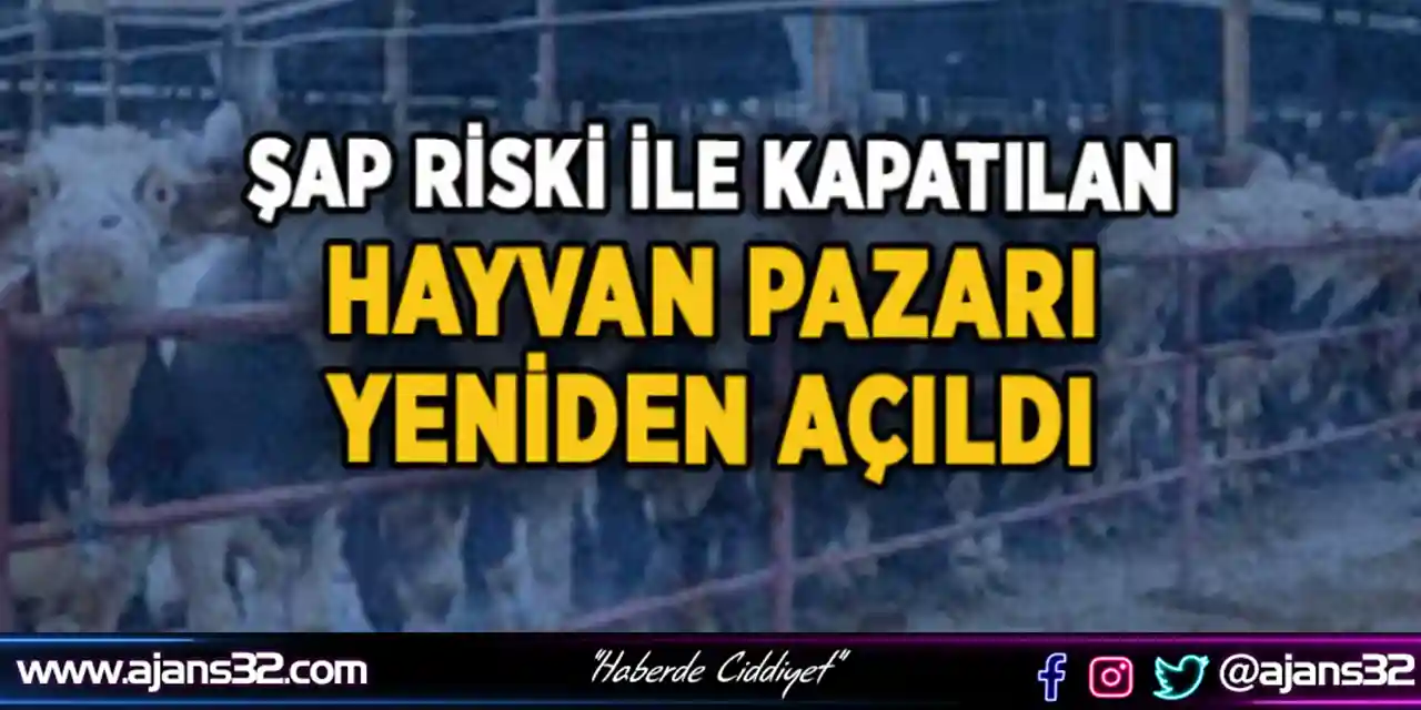 Hayvan Pazarı Yeniden Açıldı