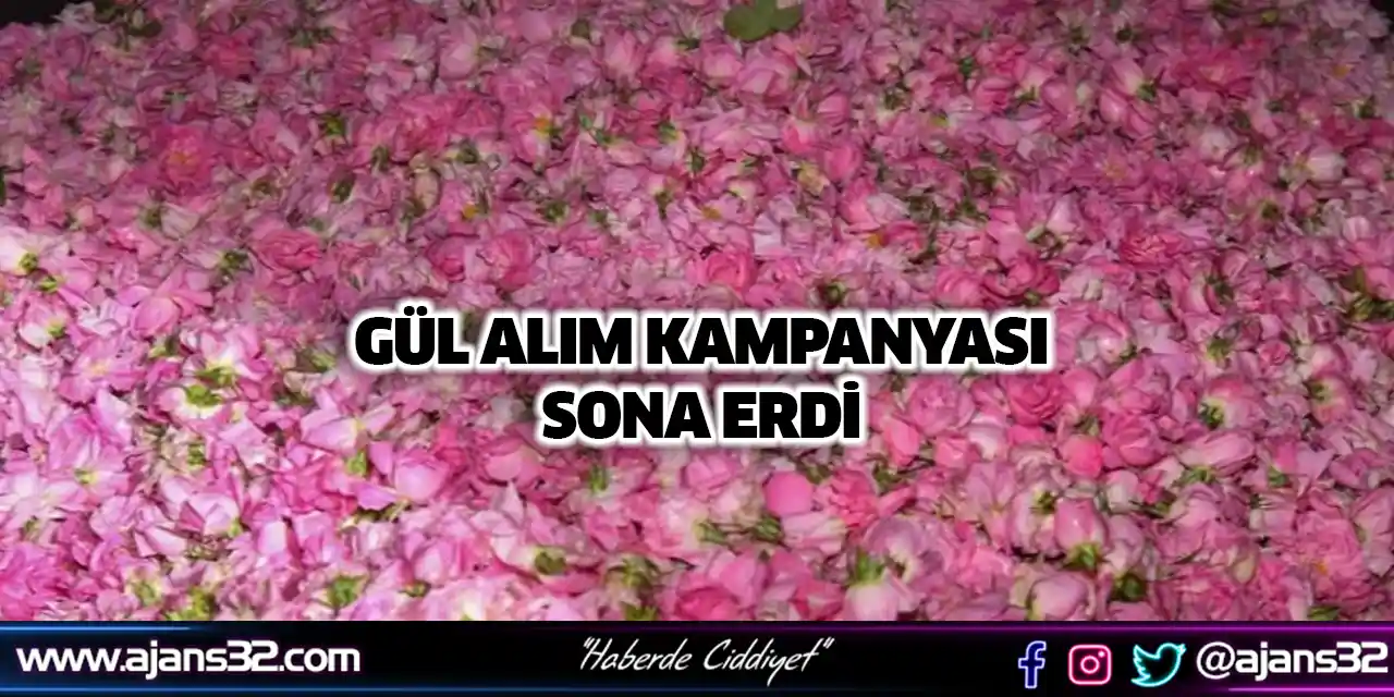 Gül Alım Kampanyası Sona Erdi