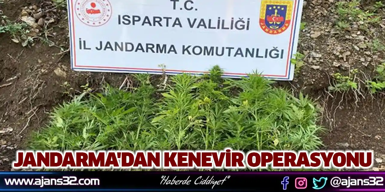 Jandarma'dan Kenevir Operasyonu