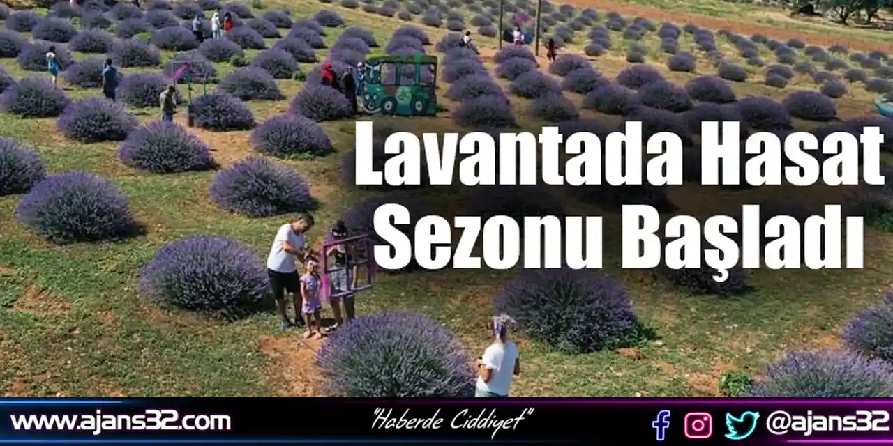 Lavanta Kokulu Köyde Hasat Başladı