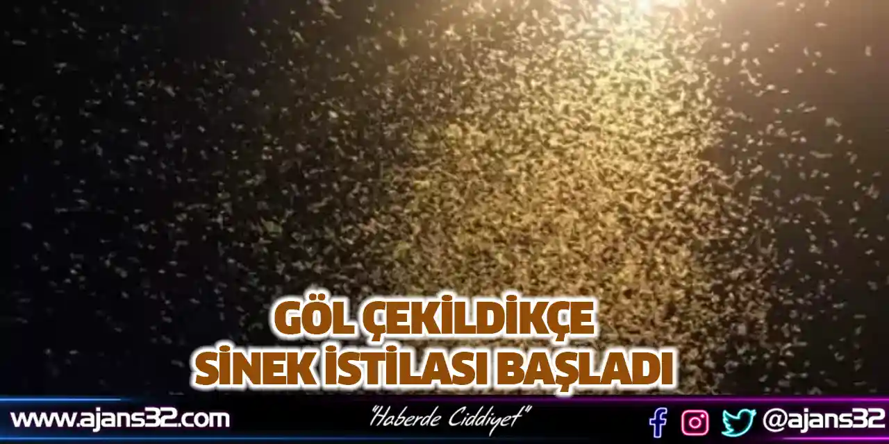 Göl Çekildikçe Sinek İstilası Başladı