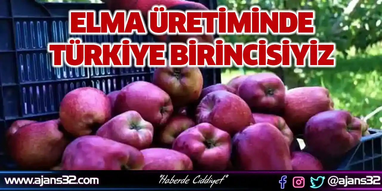 Elma Üretiminde Türkiye Birincisiyiz