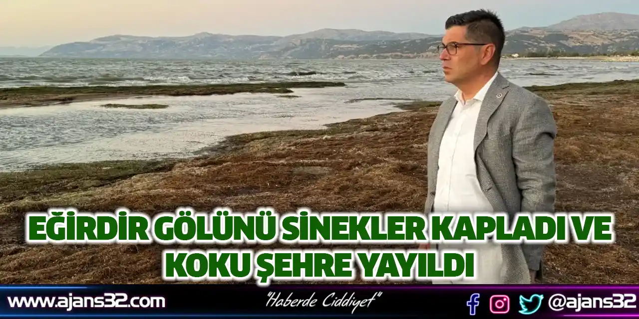 Eğirdir Gölünü Sinekler Kapladı ve Koku Şehre Yayıldı