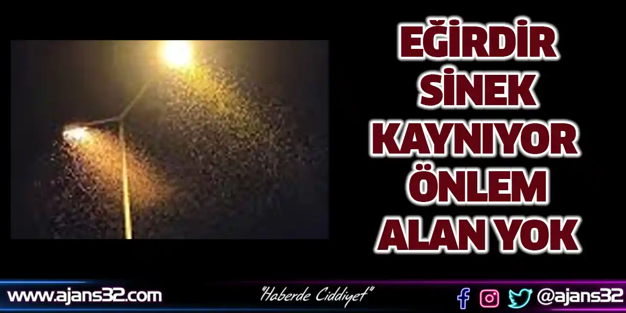 Eğirdir Sinek Kaynıyor Önlem Alan Yok