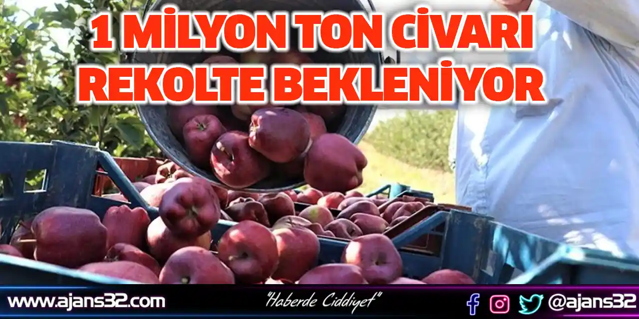 1 Milyon Ton Civarı Rekolte Bekleniyor