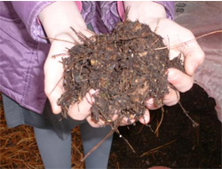 Altınbaşak'tan Organik Tarım İçin Proje