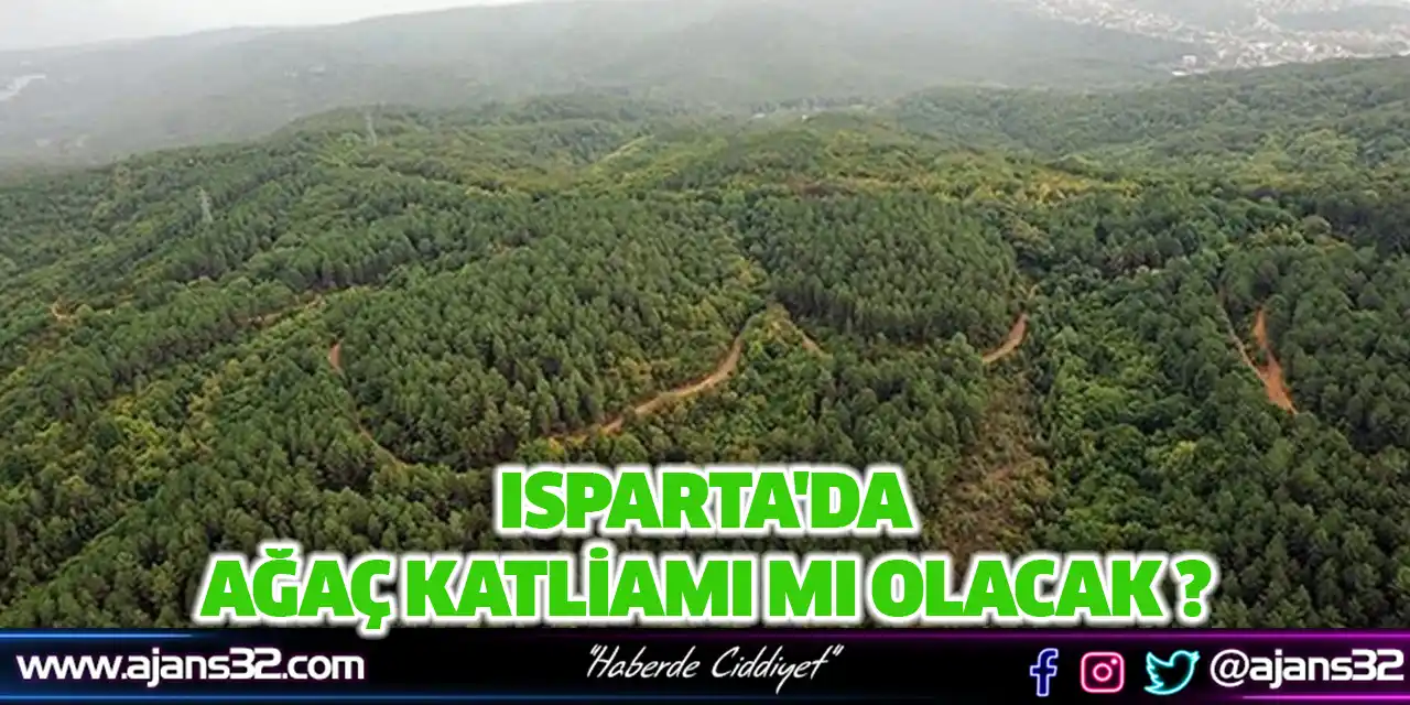 Isparta'da Ağaç Katliamı Mı Olacak ?