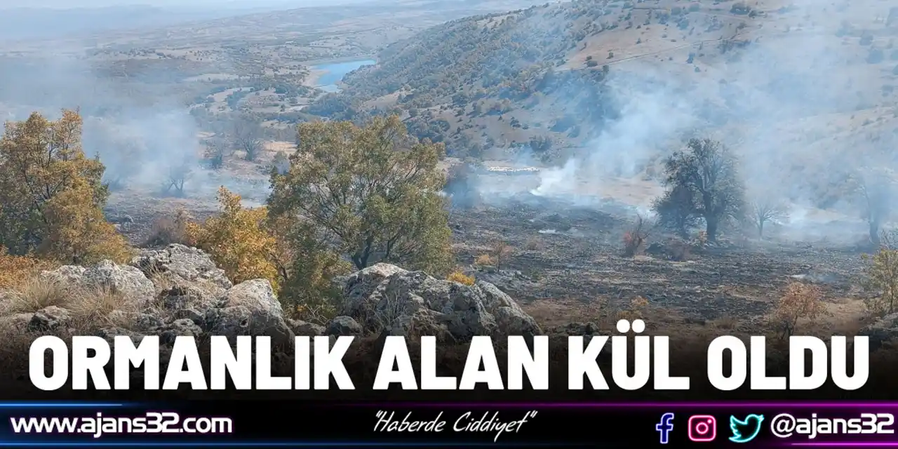 Ormanlık Alan Kül Oldu