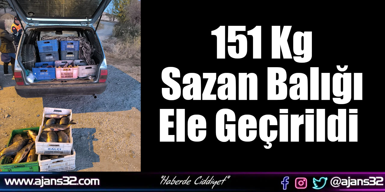 151 Kg Sazan Balığı Ele Geçirildi