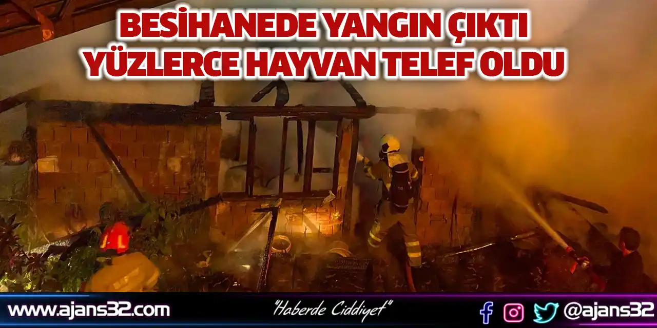 Besihanede Yangın Çıktı: Yüzlerce Hayvan Telef Oldu