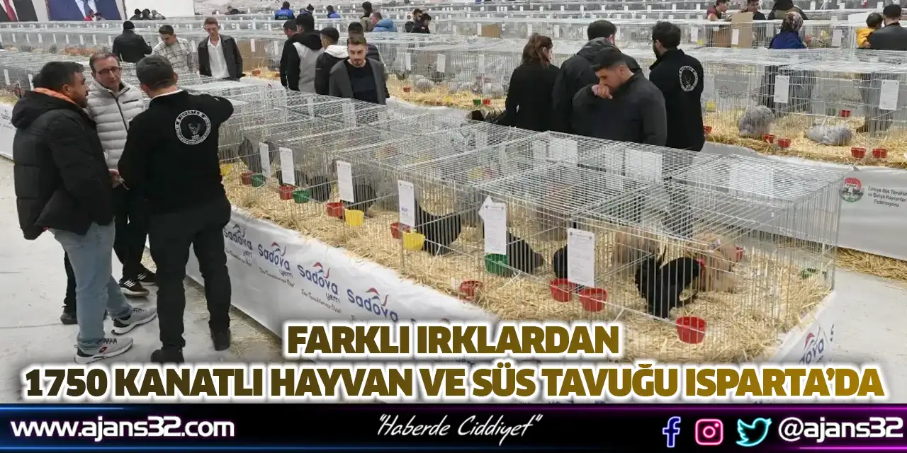 Farklı Irklardan 1750 Kanatlı Hayvan Ve Süs Tavuğu Isparta’da