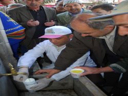 Çeşmeden 'Bal Şerbeti' Akıtıldı