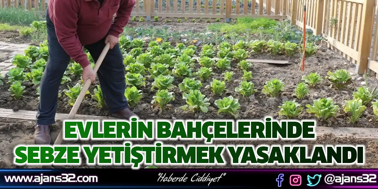 Evlerin Bahçede Sebze Yetiştirmek Yasaklandı
