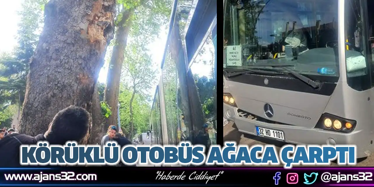 Körüklü Otobüs Ağaca Çarptı