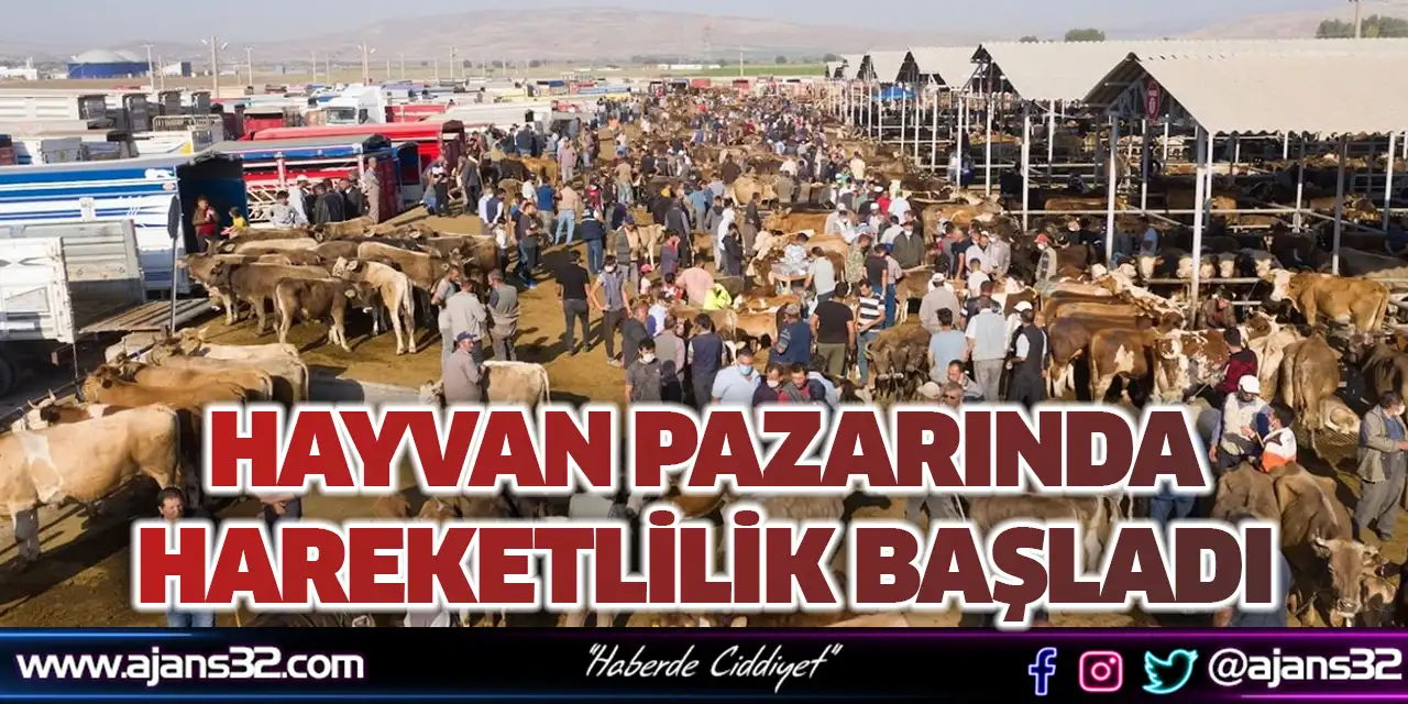 Hayvan Pazarında Hareketlilik Başladı
