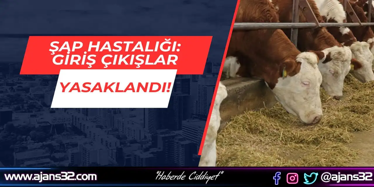 Şap Hastalığı Nedeniyle Yasaklama Getirildi!