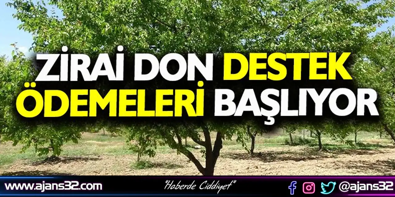Zirai Don Destek Ödemeleri Bayramdan Sonra Yapılacak