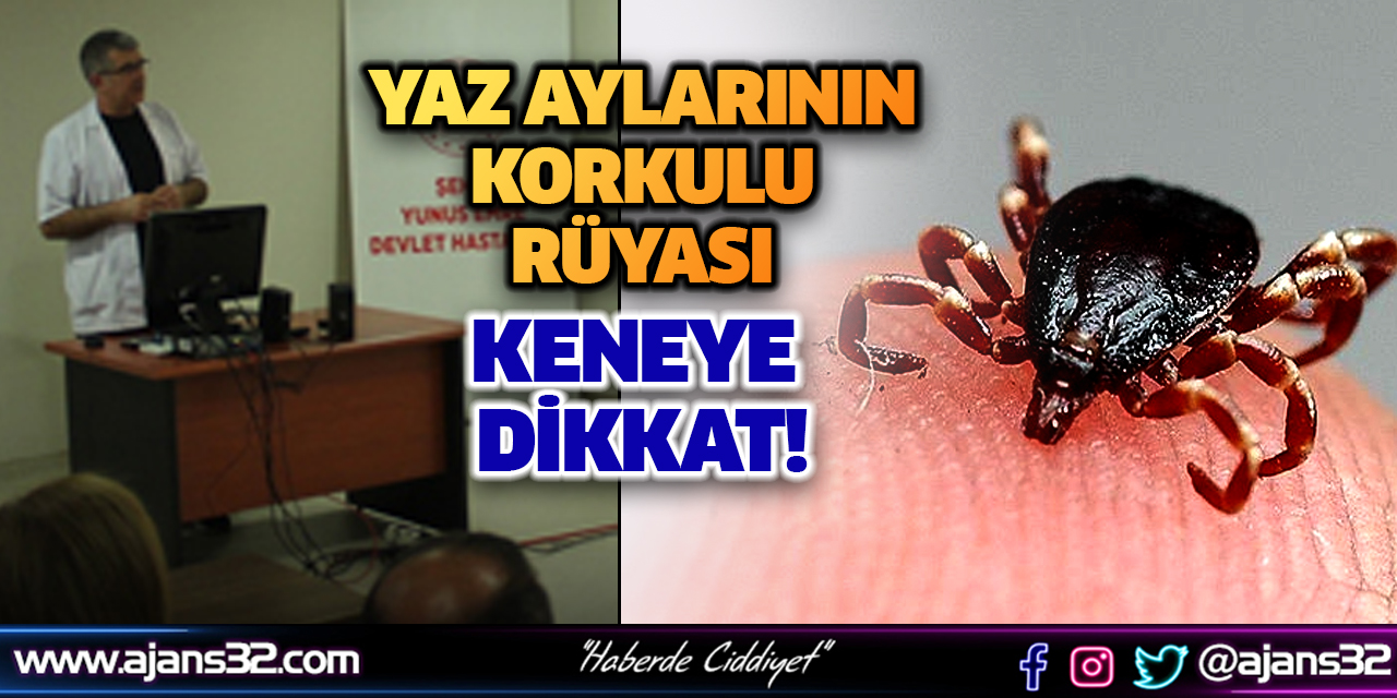 Yaz Aylarının Korkulu Rüyası Keneye Dikkat