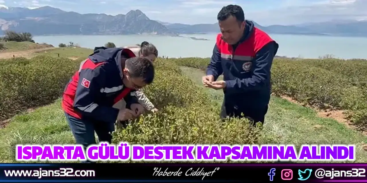 Isparta Gülü Destek Kapsamına Alındı