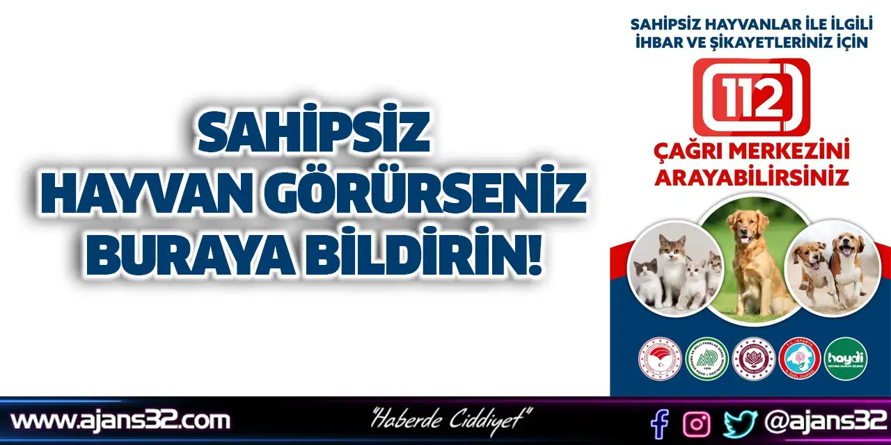Sahipsiz Hayvan Görürseniz Buraya Bildirin!