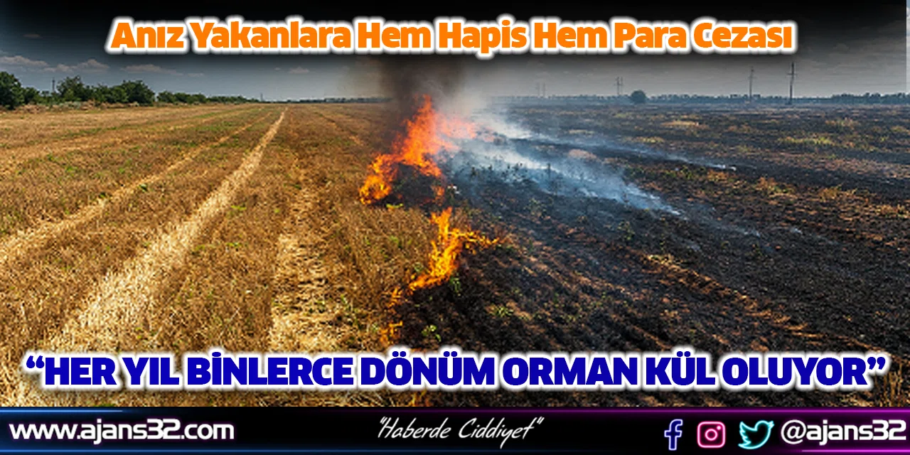 “Her Yıl Binlerce Dönüm Orman Kül Oluyor”