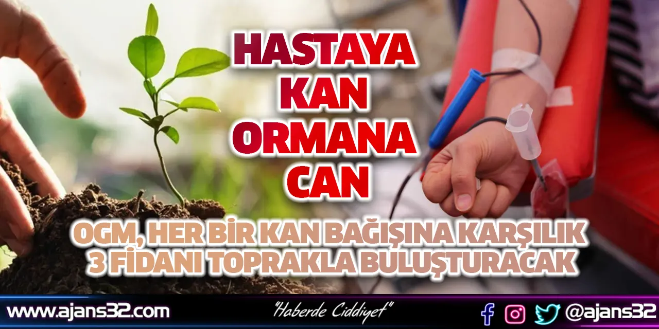 Hastaya Kan Ormana Can