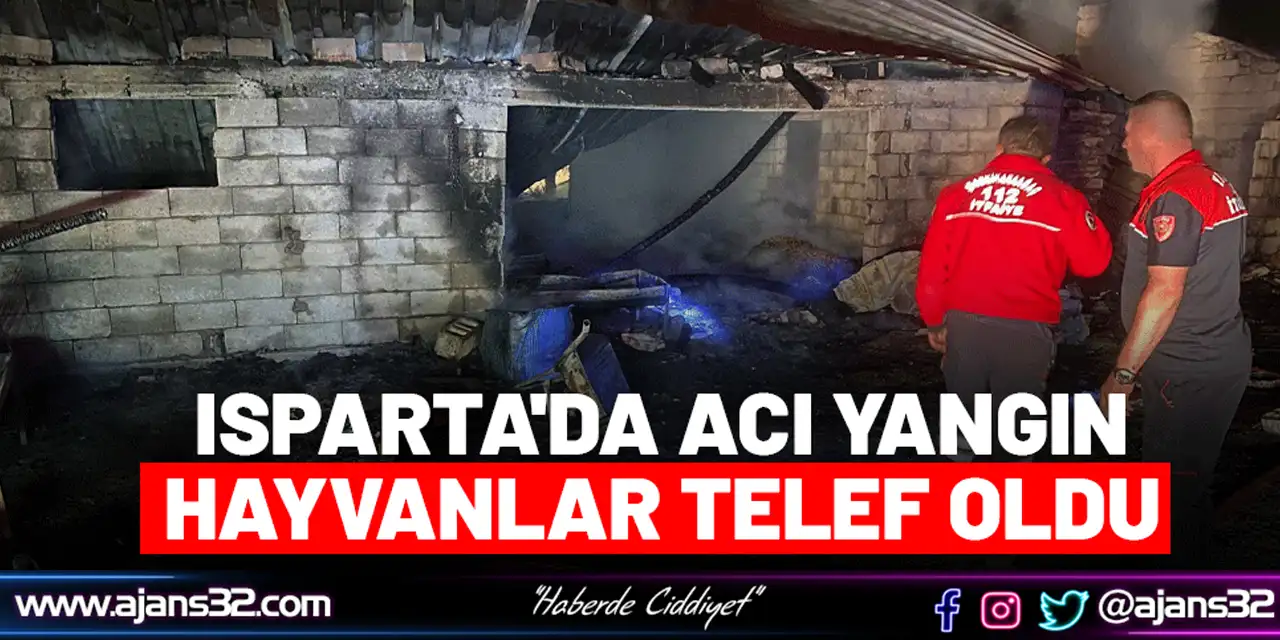 Yangında Hayvanlar Telef Oldu