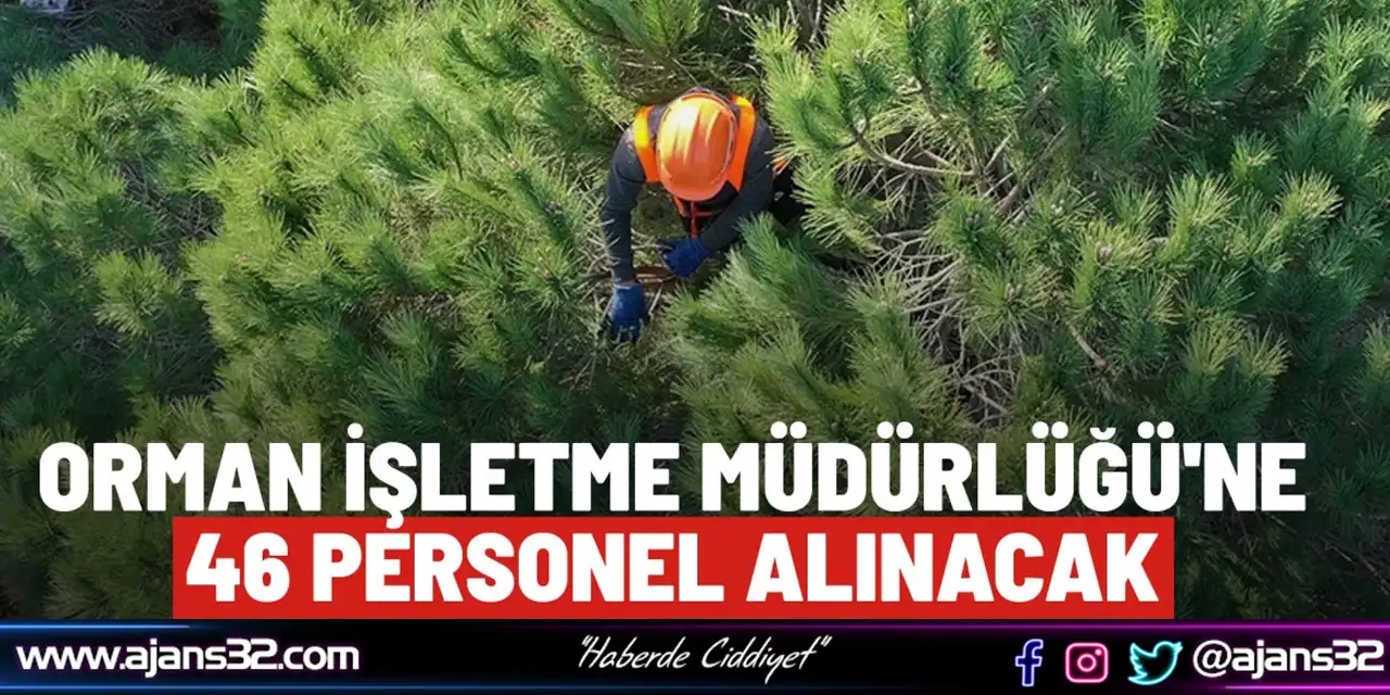 Orman İşletme Müdürlüğü'ne 46 Personel Alınacak