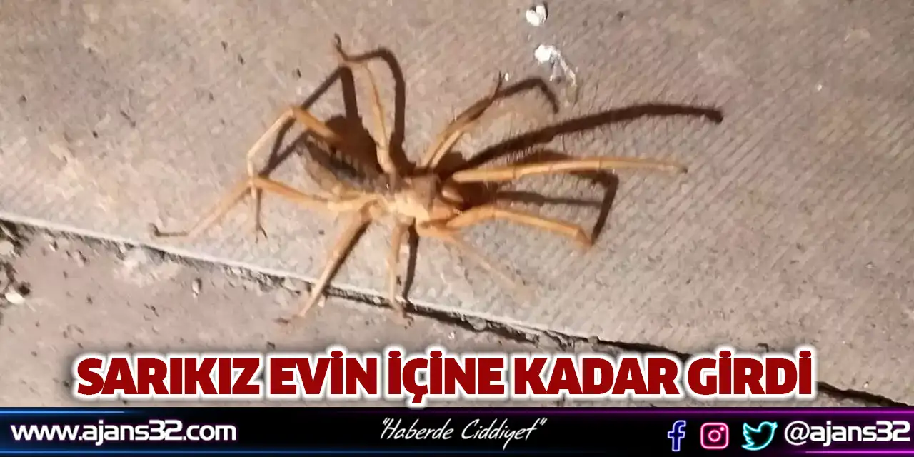 Sarıkız Evin İçine Kadar Girdi