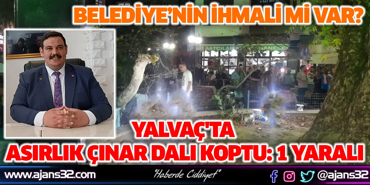 Yalvaç'ta Asırlık Çınar Dalı Koptu: 1 Yaralı