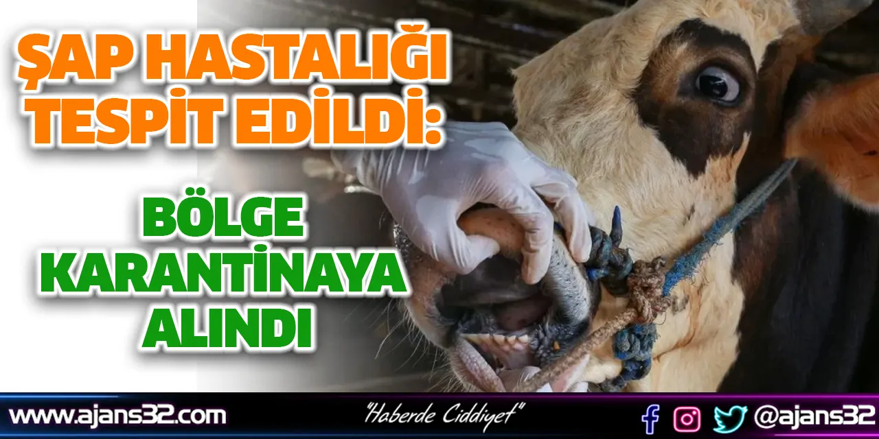 Şap Hastalığı Tespit Edildi: Bölge Karantinaya Alındı