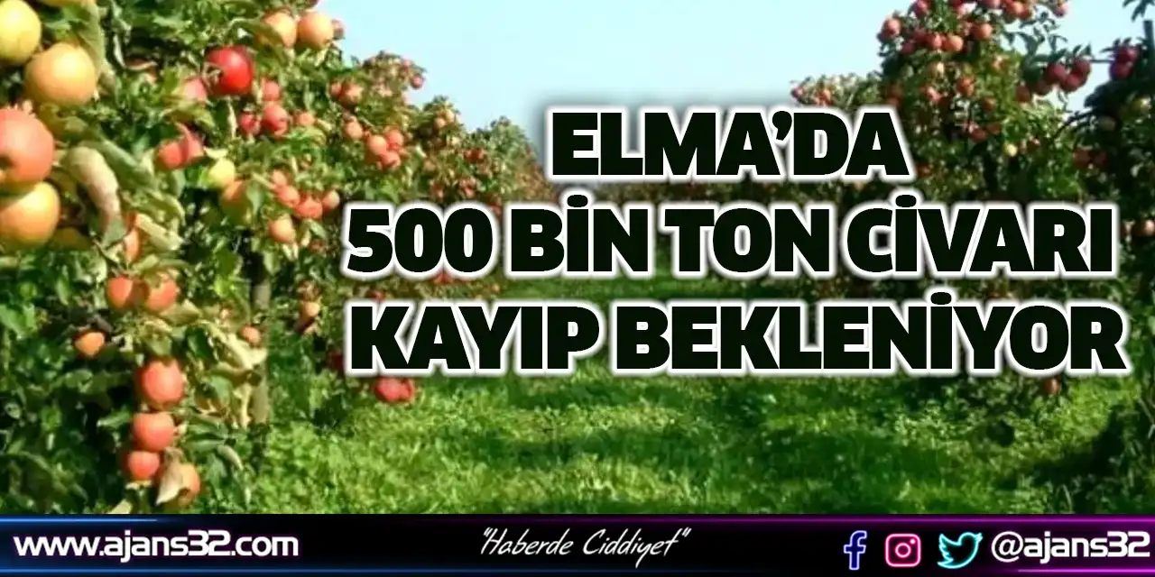 Elma’da 500 Bin Ton Civarı Kayıp Bekleniyor