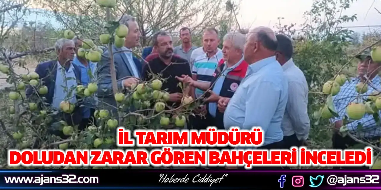 İl Tarım Müdürü, Doludan Zarar Gören Bahçeleri İnceledi