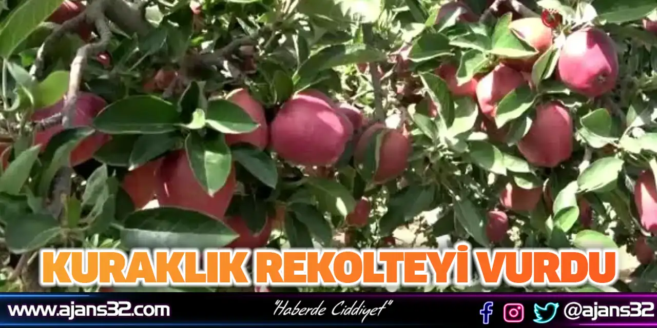 Kuraklık Rekolteyi Vurdu