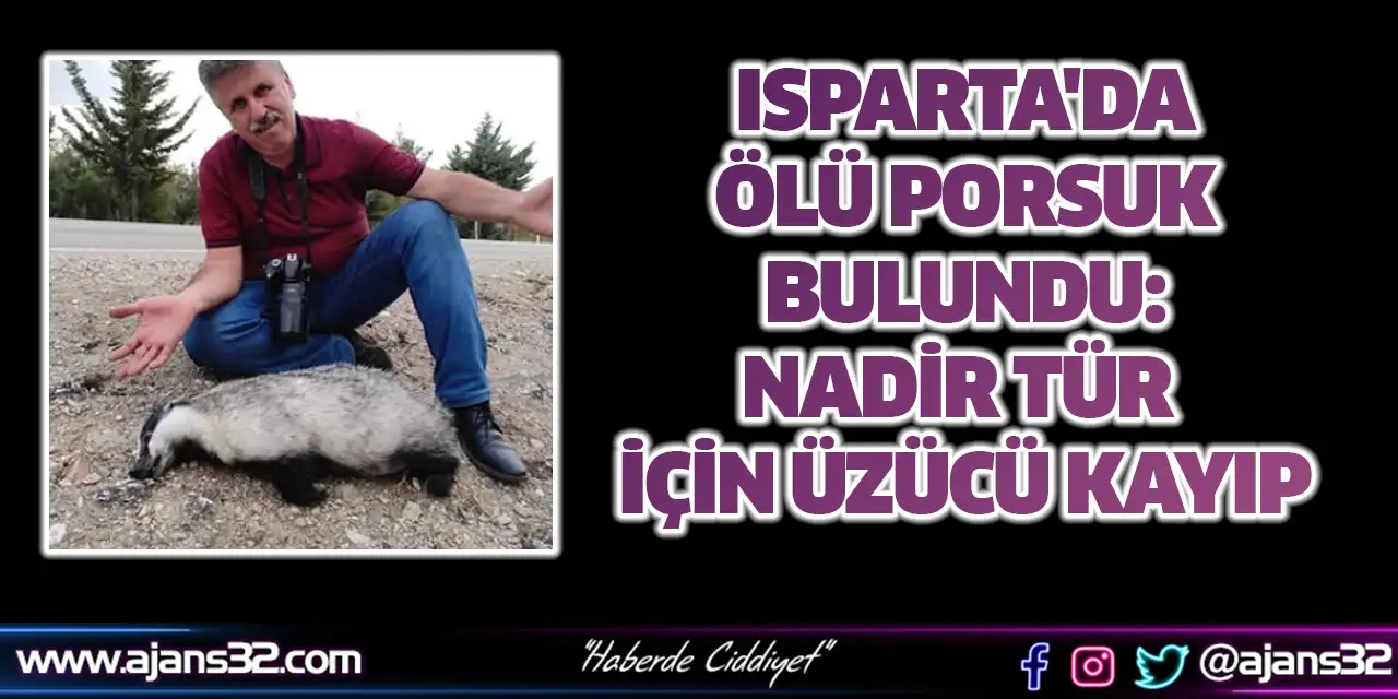 Ölü Porsuk Bulundu