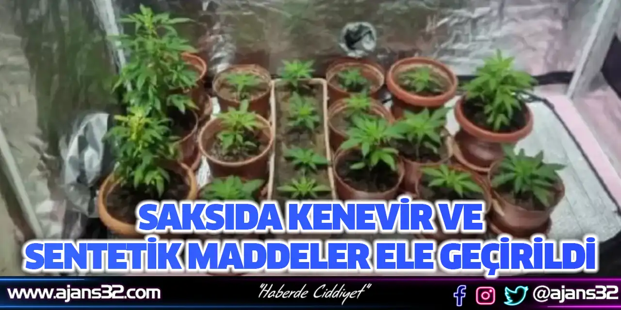 Saksıda Kenevir ve Sentetik Maddeler Ele Geçirildi