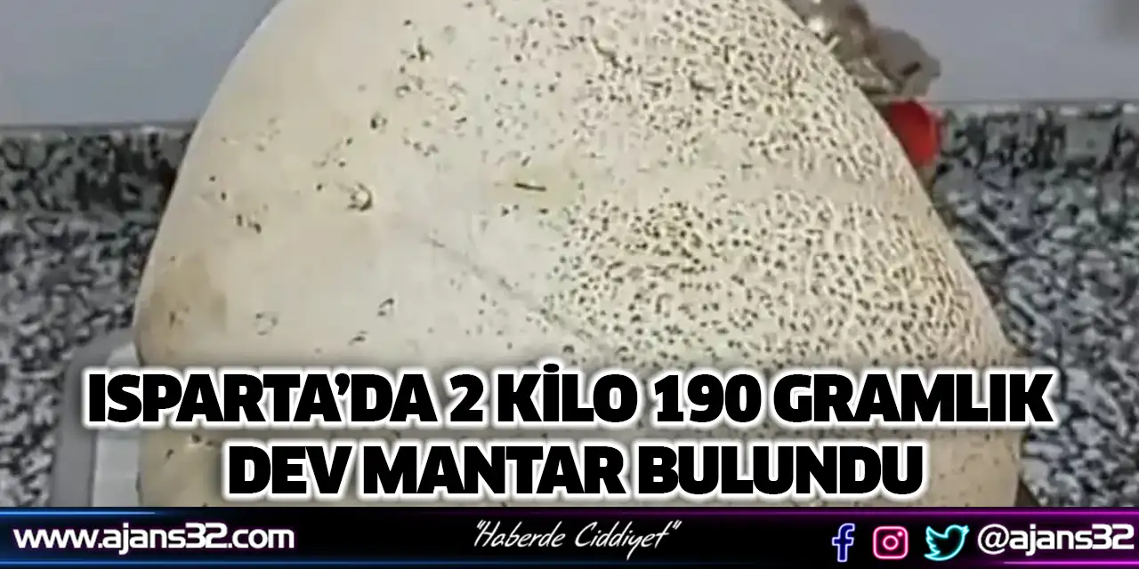 Isparta’da 2 Kilo 190 Gramlık Dev Mantar Bulundu