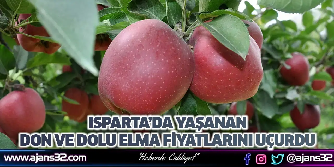Isparta’da Yaşanan Don ve Dolu Elma Fiyatlarını Uçurdu