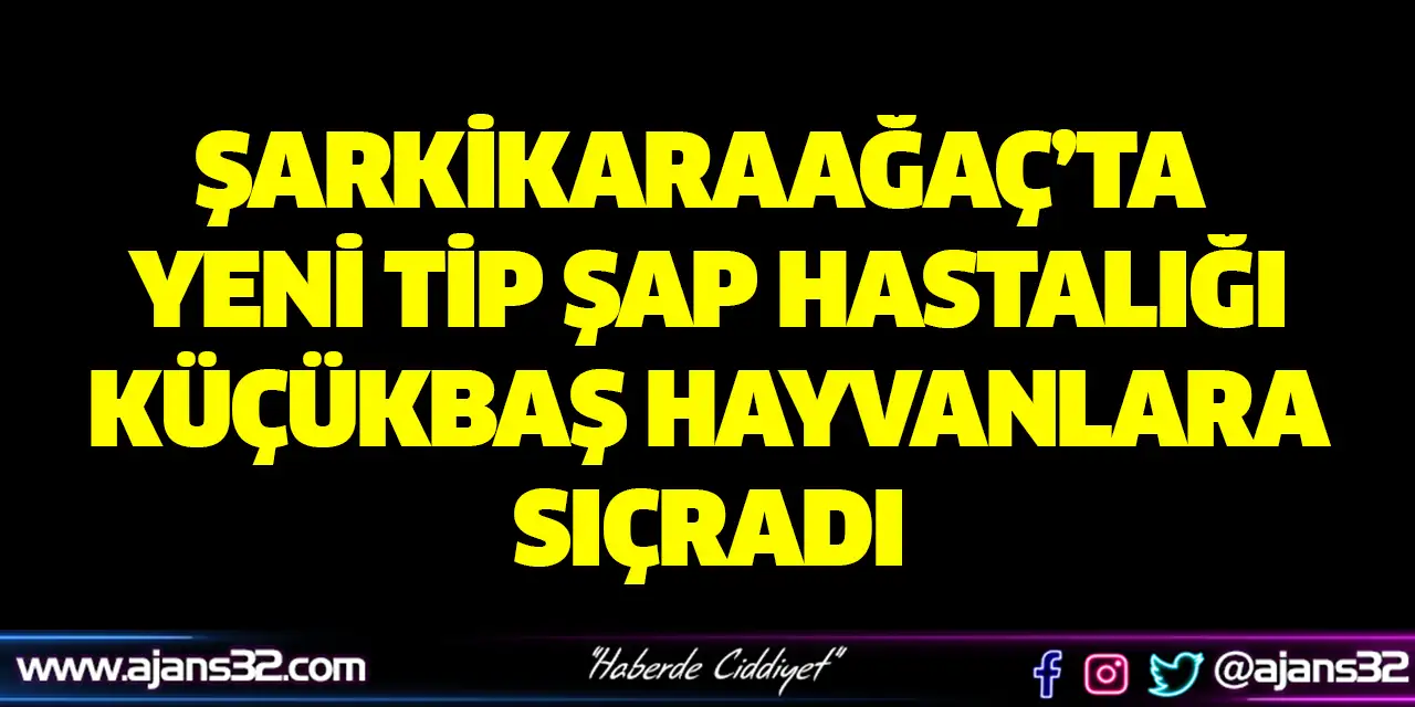 Şarkikaraağaç’ta Yeni Tip Şap Hastalığı Küçükbaş Hayvanlara Sıçradı