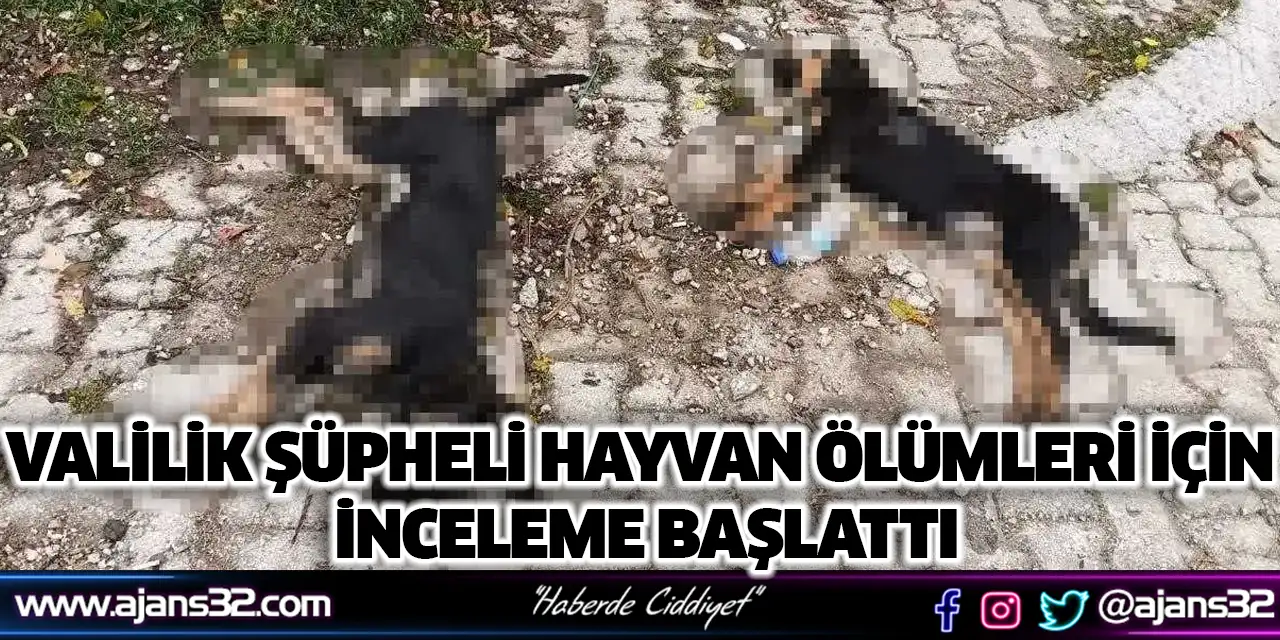 Valilik Şüpheli Hayvan Ölümleri İçin İnceleme Başlattı