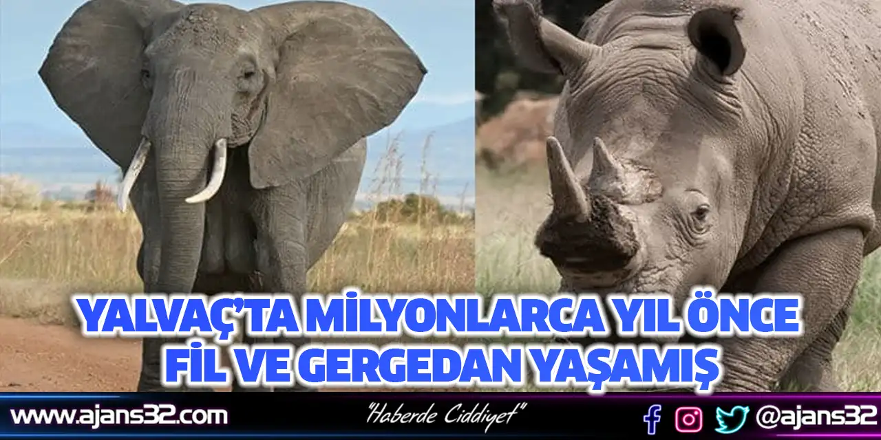 Yalvaç’ta Milyonlarca Yıl Önce Fil ve Gergedan Yaşamış