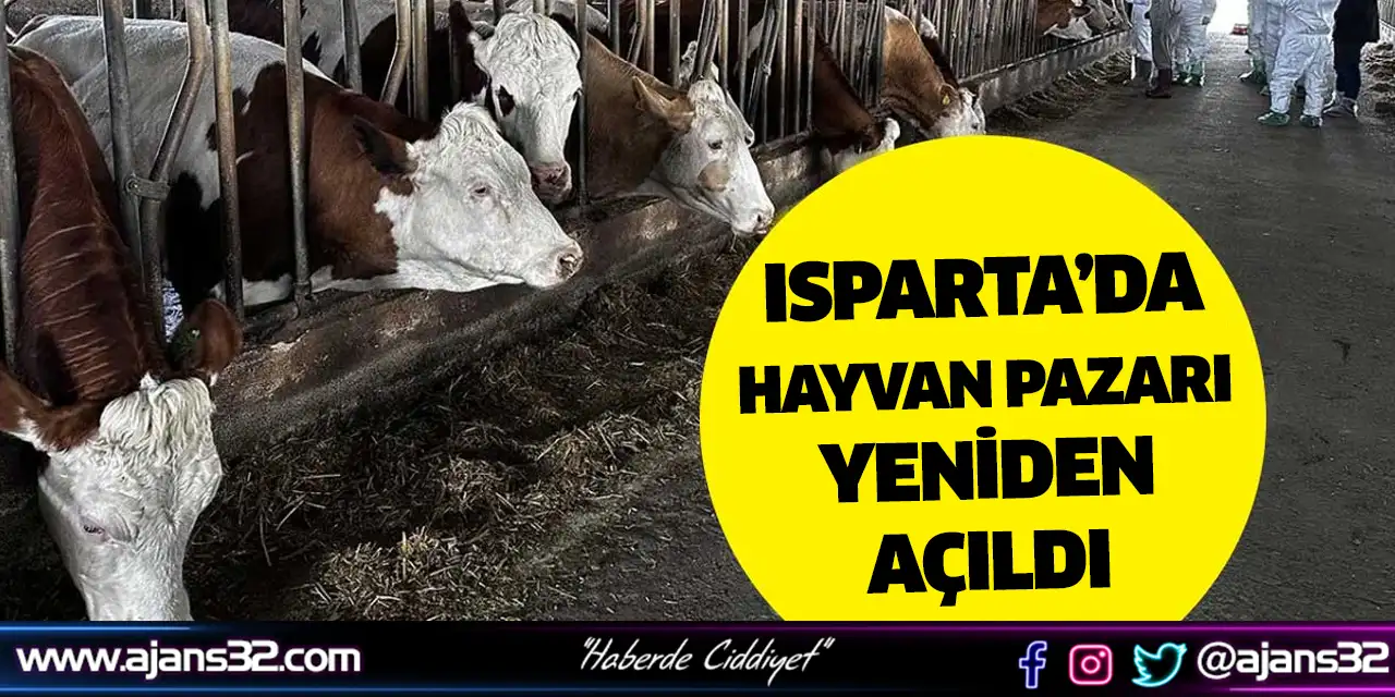 Hayvan Pazarı Yeniden Açıldı